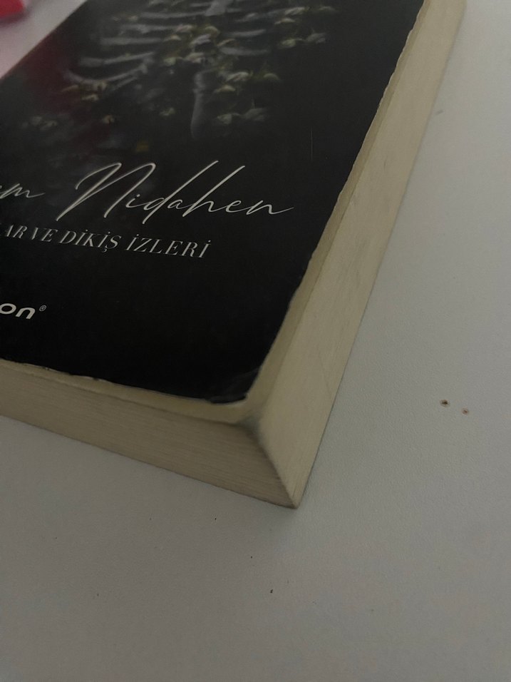 Vernem Nidahen - Açık Yaralar ve Dikiş İzleri - Beyza Aksoy - Görsel 4