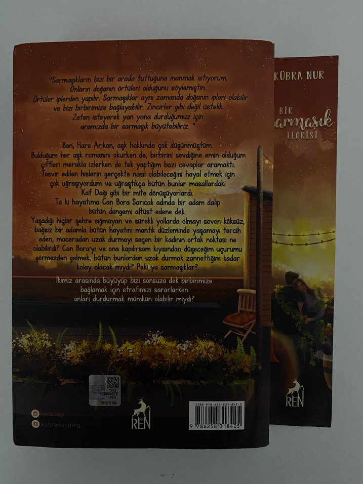 Bir Sarmaşık Teorisi - Kübra Nur - Görsel 2