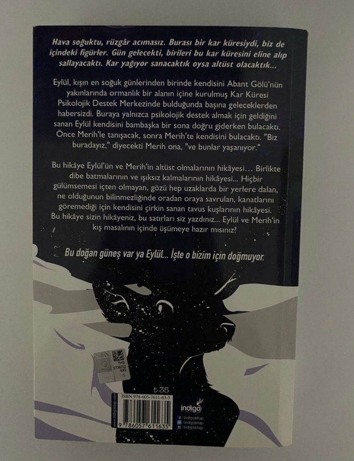 Kar Küresi - Beyza Alkoç - Görsel 2