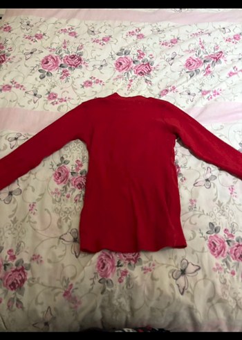 Kırmızı boğazlı kazak - Görsel 2