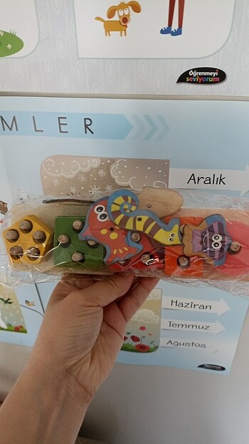 Beden Renk Bul tak oyuncak