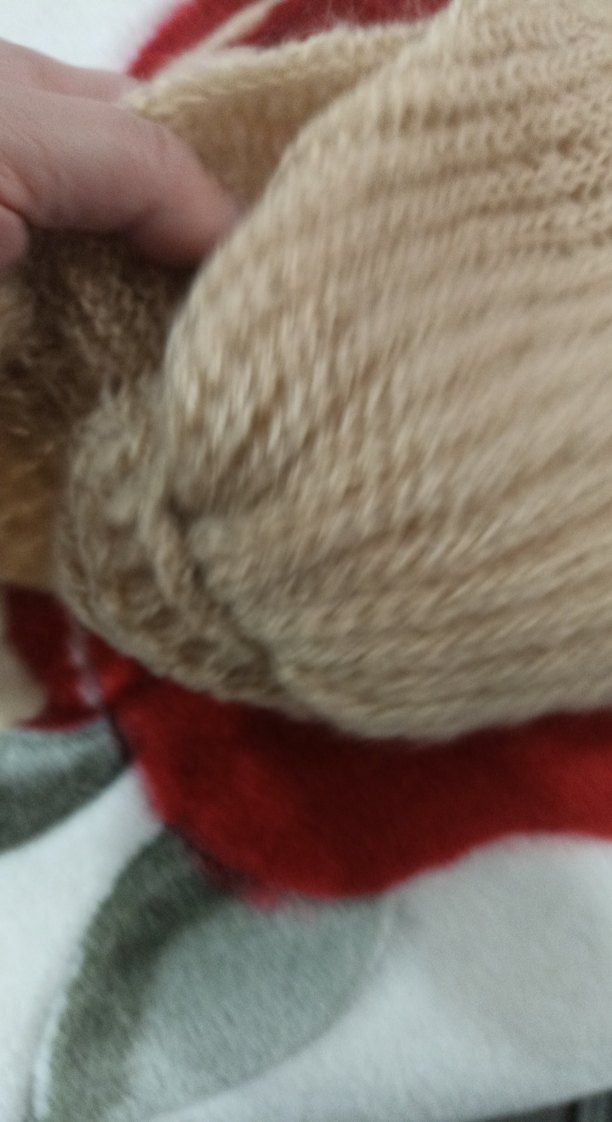 Bej Örgü Kadın Şal - Görsel 5