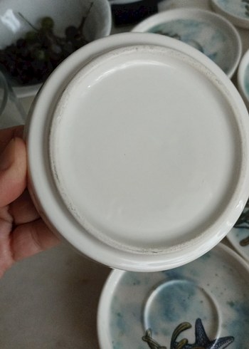 Beden Mavi Deniz Yıldızı Desenli Tabak Seti