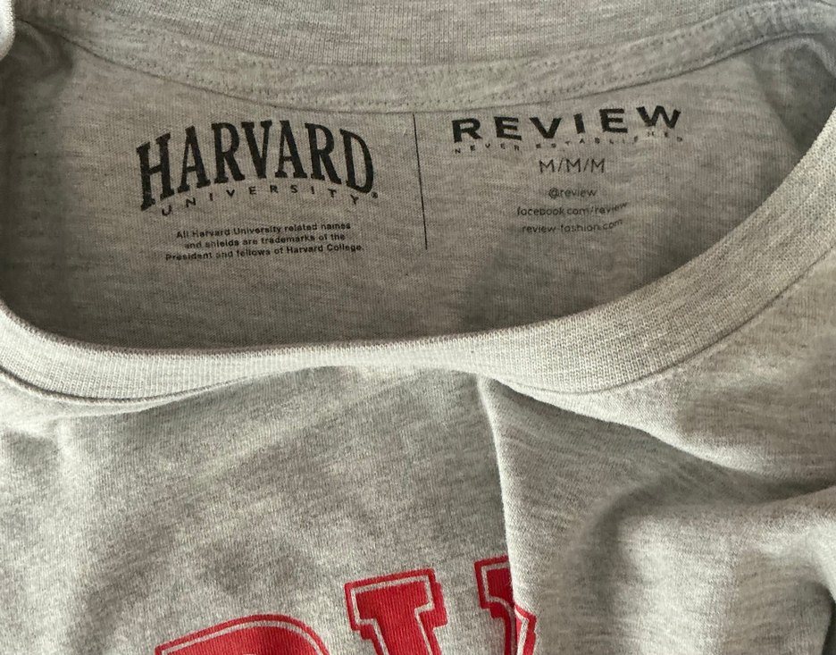 Gri Orijinal Harvard Baskılı Kadın Tişört - Görsel 3