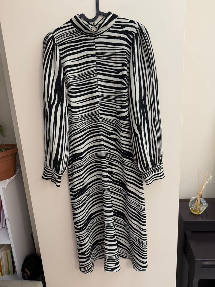 Zebra Desenli Uzun Kollu Pilili Kadın Elbise - Görsel 3