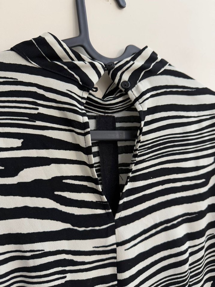 Zebra Desenli Uzun Kollu Pilili Kadın Elbise - Görsel 2