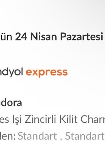 Pandora Charm - Görsel 3