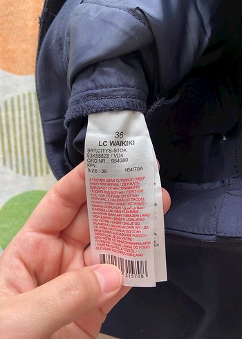 Old Money Şort - Görsel 4