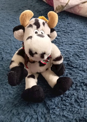 bir oda dolusu oyuncak var - Görsel 4