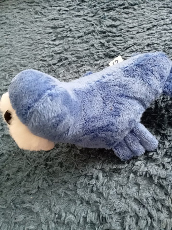 bir oda dolusu oyuncak var - Görsel 5