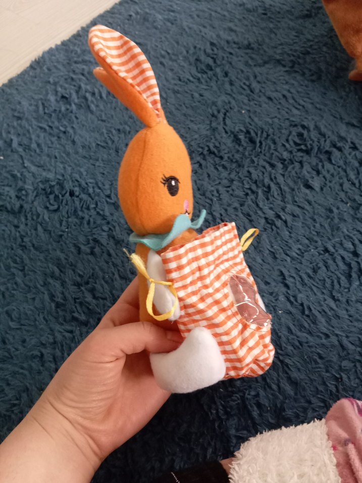 bir oda dolusu oyuncak var - Görsel 2