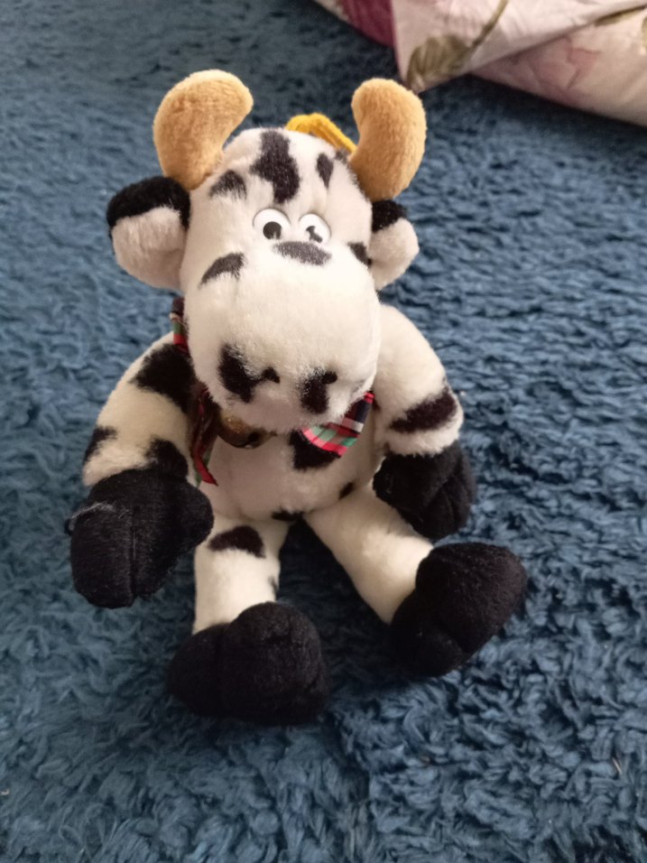 bir oda dolusu oyuncak var - Görsel 4