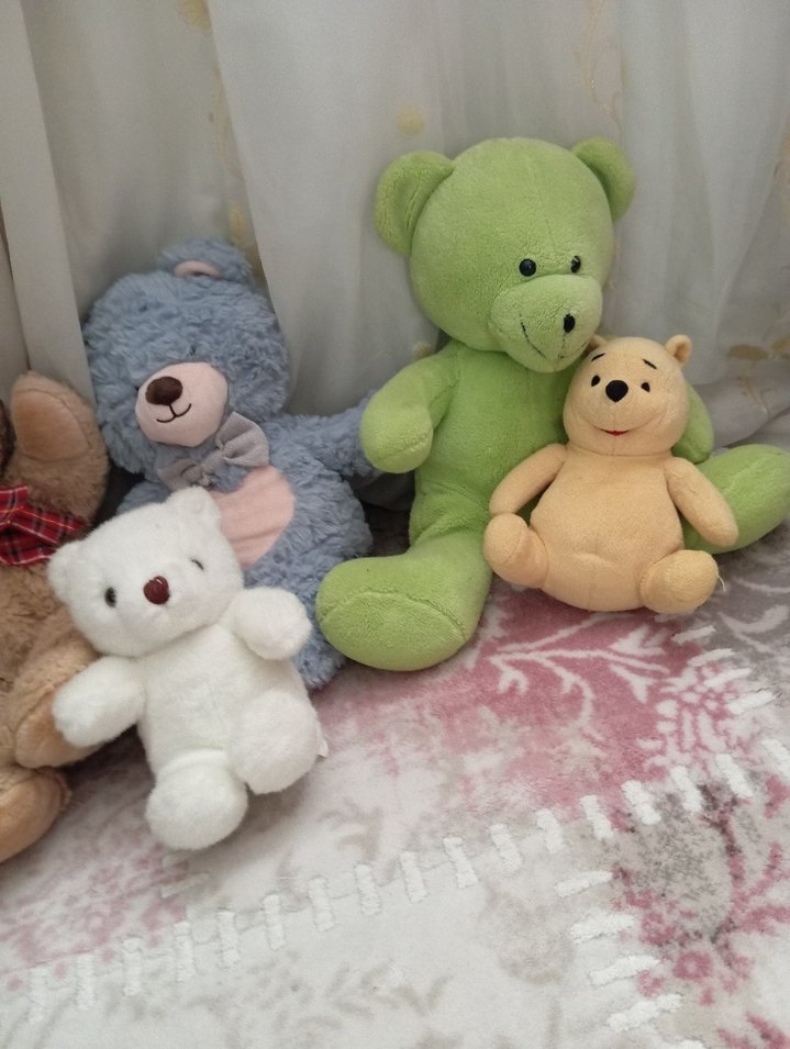 Renkli Peluş Oyuncak Seti - Görsel 4