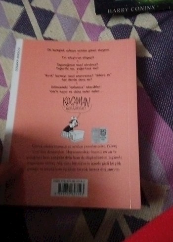 Temel Reis Ispanagi Yoğurtsuz Yer - Yalvaç Ural - Görsel 6