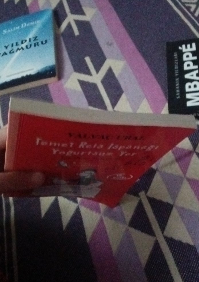 Temel Reis Ispanagi Yoğurtsuz Yer - Yalvaç Ural - Görsel 4