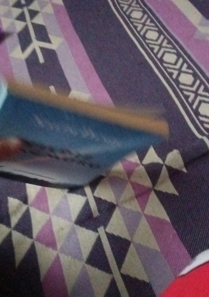 Yıldız Yağmuru - Salim Demir - Görsel 5