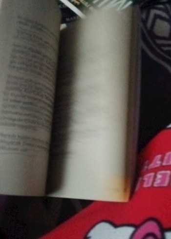 İstiklal Marşı On Kıta On Yürek Çocuk Kitabı - Görsel 4