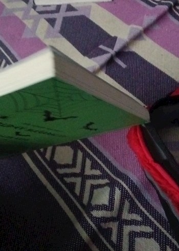 Abıd-ı Dev Mağaraları - Beken Kıza imzalı - Görsel 4