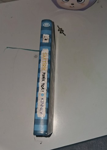 SAFTİRİK PANİK YOK! ADLI KİTAP ÖNERİRİM - Görsel 3