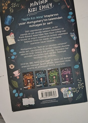 Mavinin Kızı Emily - Kayıp Cennet Romanı - Görsel 2