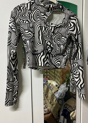 Zebra crop - Görsel 2