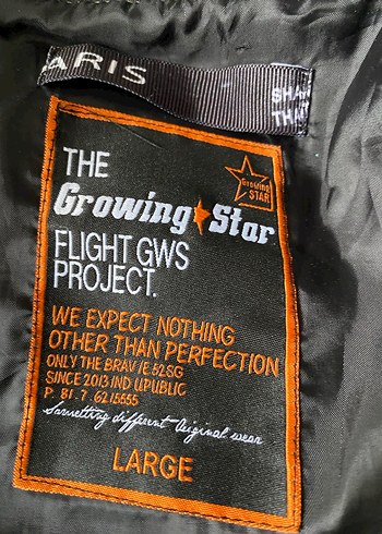 Gri Fermuarlı erkek Ceket - Görsel 4