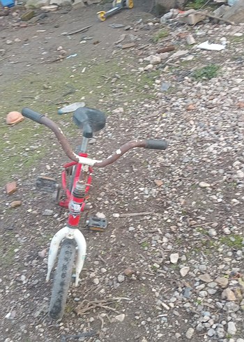 Kırmızı Üç Tekerlekli Çocuk Bisikleti - Görsel 2