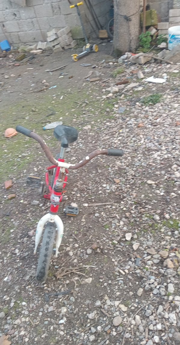 Kırmızı Üç Tekerlekli Çocuk Bisikleti - Görsel 2