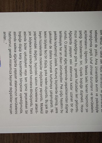 Klasik Romanlar ve Edebiyat Eserleri Seti - Görsel 16