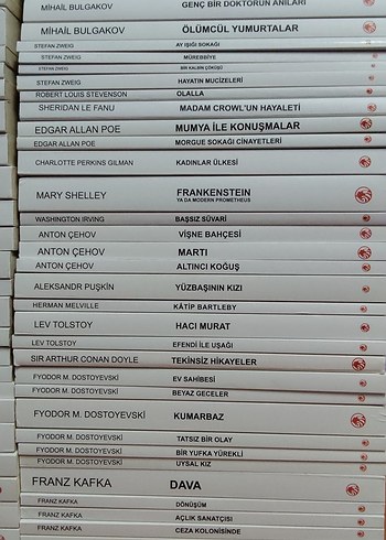 Klasik Romanlar ve Edebiyat Eserleri Seti - Görsel 4