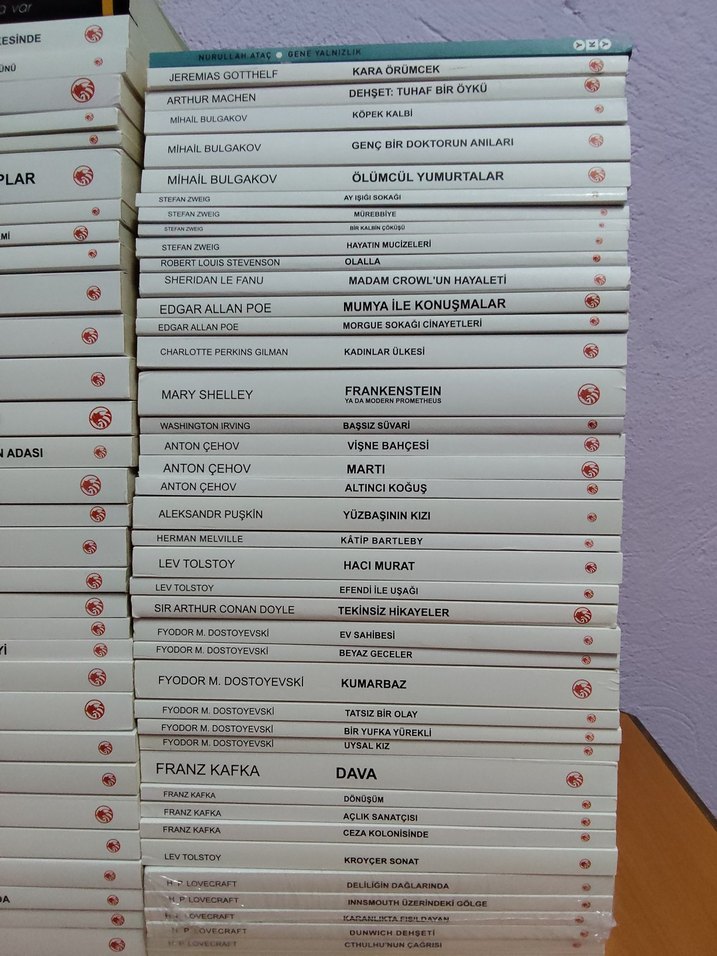 Klasik Romanlar ve Edebiyat Eserleri Seti - Görsel 3