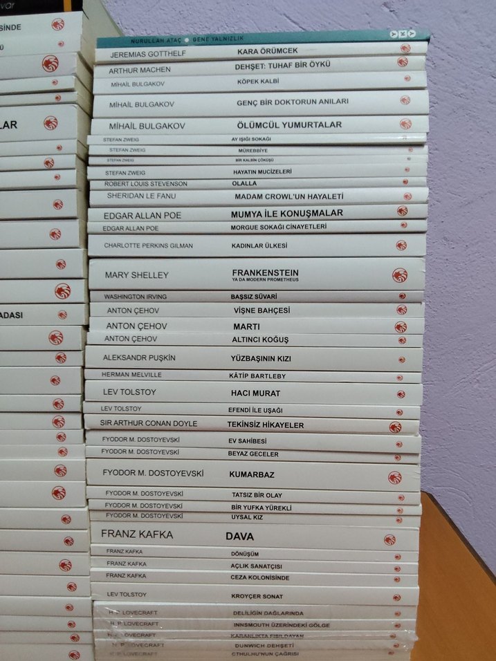 Klasik Romanlar ve Edebiyat Eserleri Seti - Görsel 2