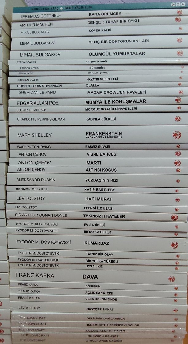 Klasik Romanlar ve Edebiyat Eserleri Seti - Görsel 4