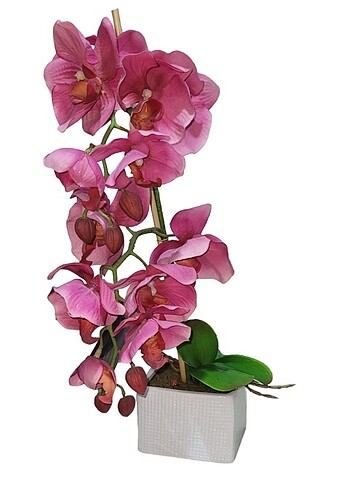 Yapay Orkide Çiçek 