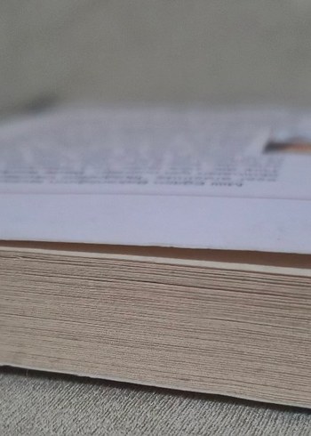 Dede Korkut Hikayeleri - Dr. Pervin Ergun - Görsel 4