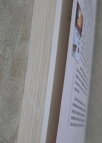 Dede Korkut Hikayeleri - Dr. Pervin Ergun - Görsel 3