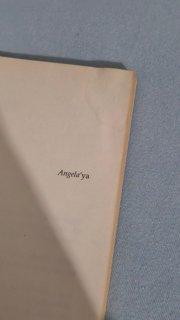 Çeviri: Dillerin Dili - Akşit Göktürk - Görsel 5