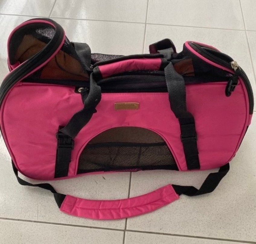 Taşınabilir Kedi köpek Taşıma Çantası - Görsel 2