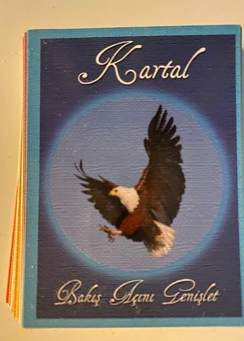 Rehber hayvan kartları oracle kartları - Görsel 3