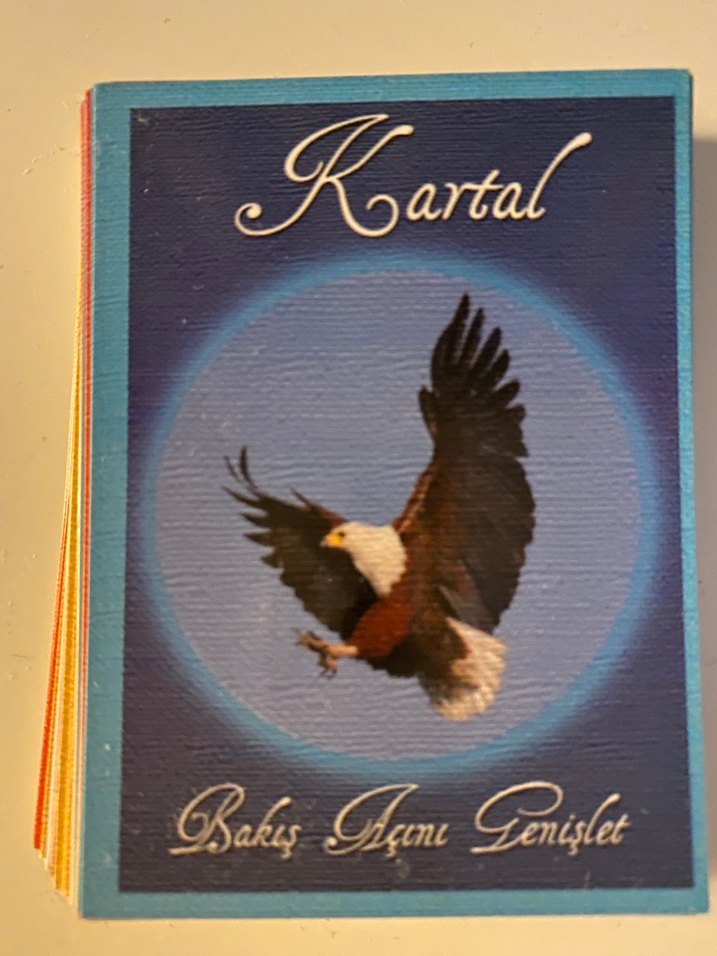 Rehber hayvan kartları oracle kartları - Görsel 3