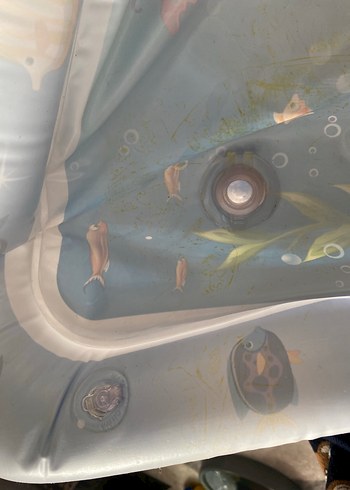 Renkli Deniz Temalı Şişme Su Oyuncağı - Görsel 3