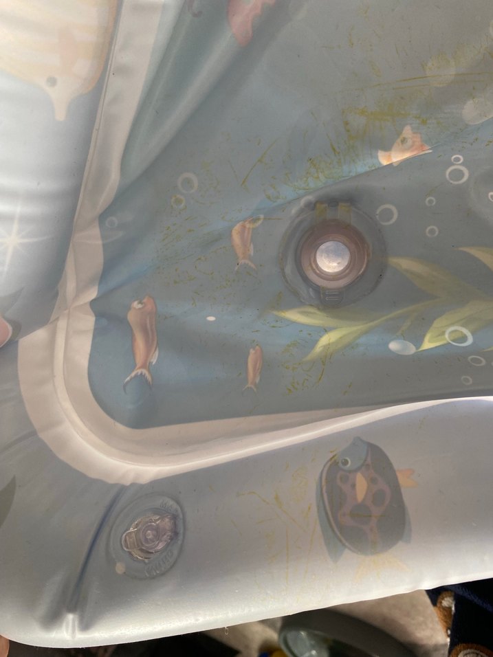 Renkli Deniz Temalı Şişme Su Oyuncağı - Görsel 3