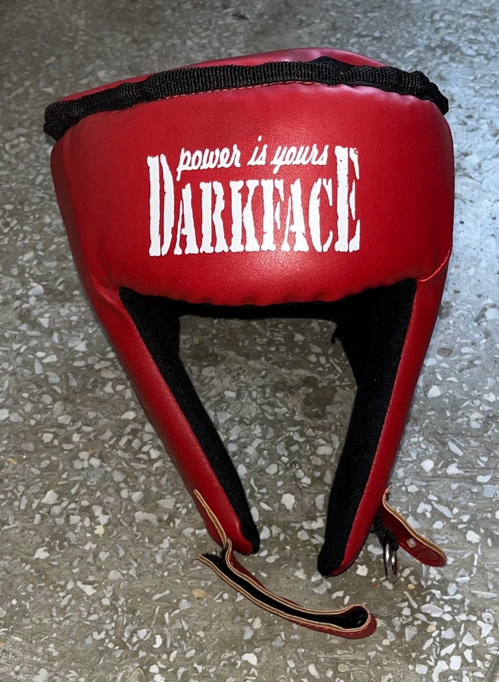 Trex boks/muay thai/ kick boks kaskı - Görsel 2