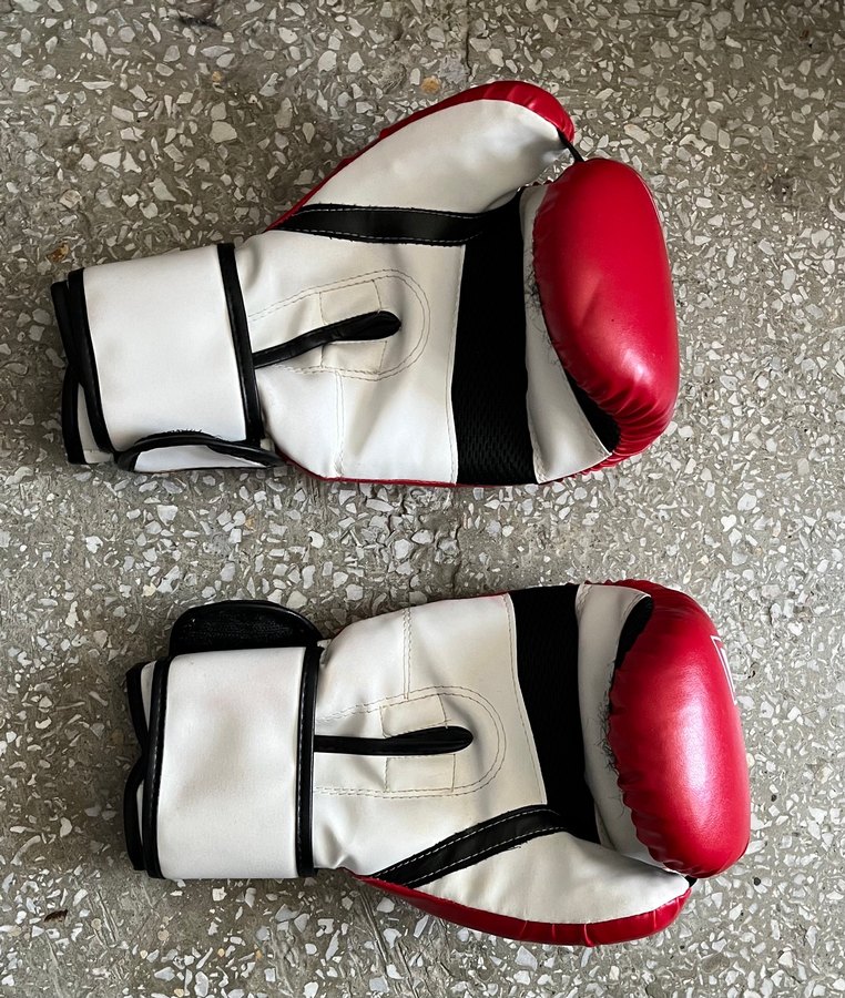 Trex boks eldiveni - Görsel 4