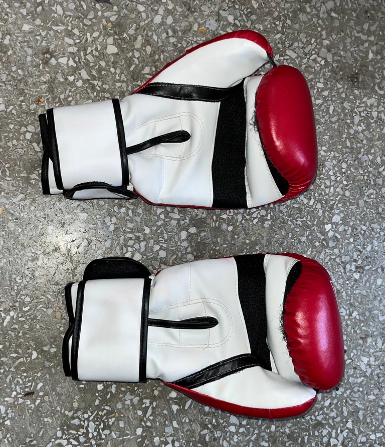 Trex boks eldiveni - Görsel 3