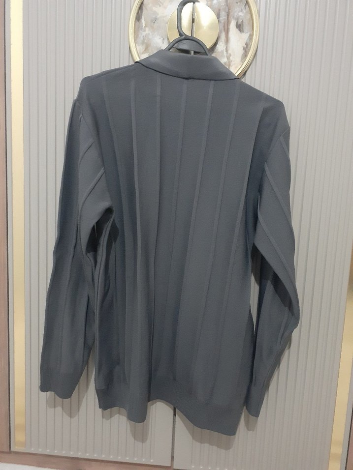 Gri Regular Fit Uzun Kollu Polo Yaka Erkek Kazak - Görsel 2