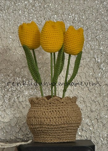 El Örgüsü saksıda 4 adet sarı lale - Görsel 5
