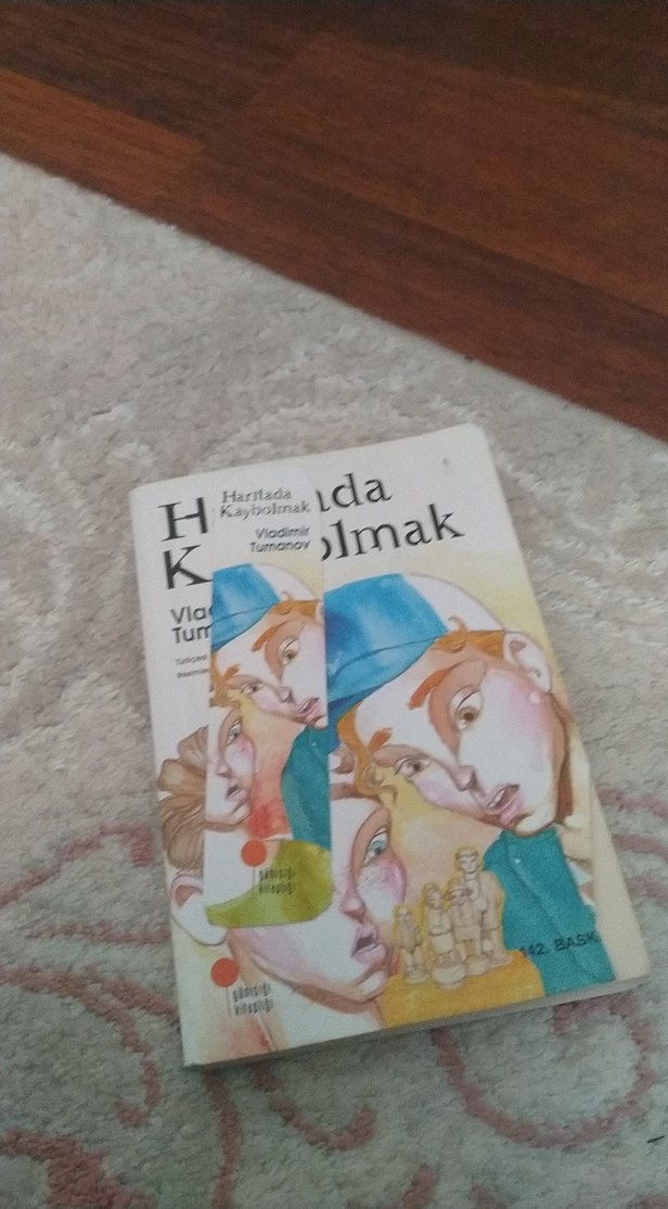 Haritada Kaybolmak - Vladimir Tumanov - Görsel 2