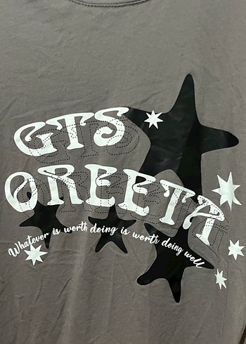 Gri Baskılı Kadın Tişörtü GTS - Görsel 3