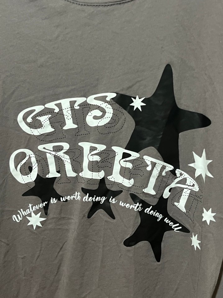 Gri Baskılı Kadın Tişörtü GTS - Görsel 3